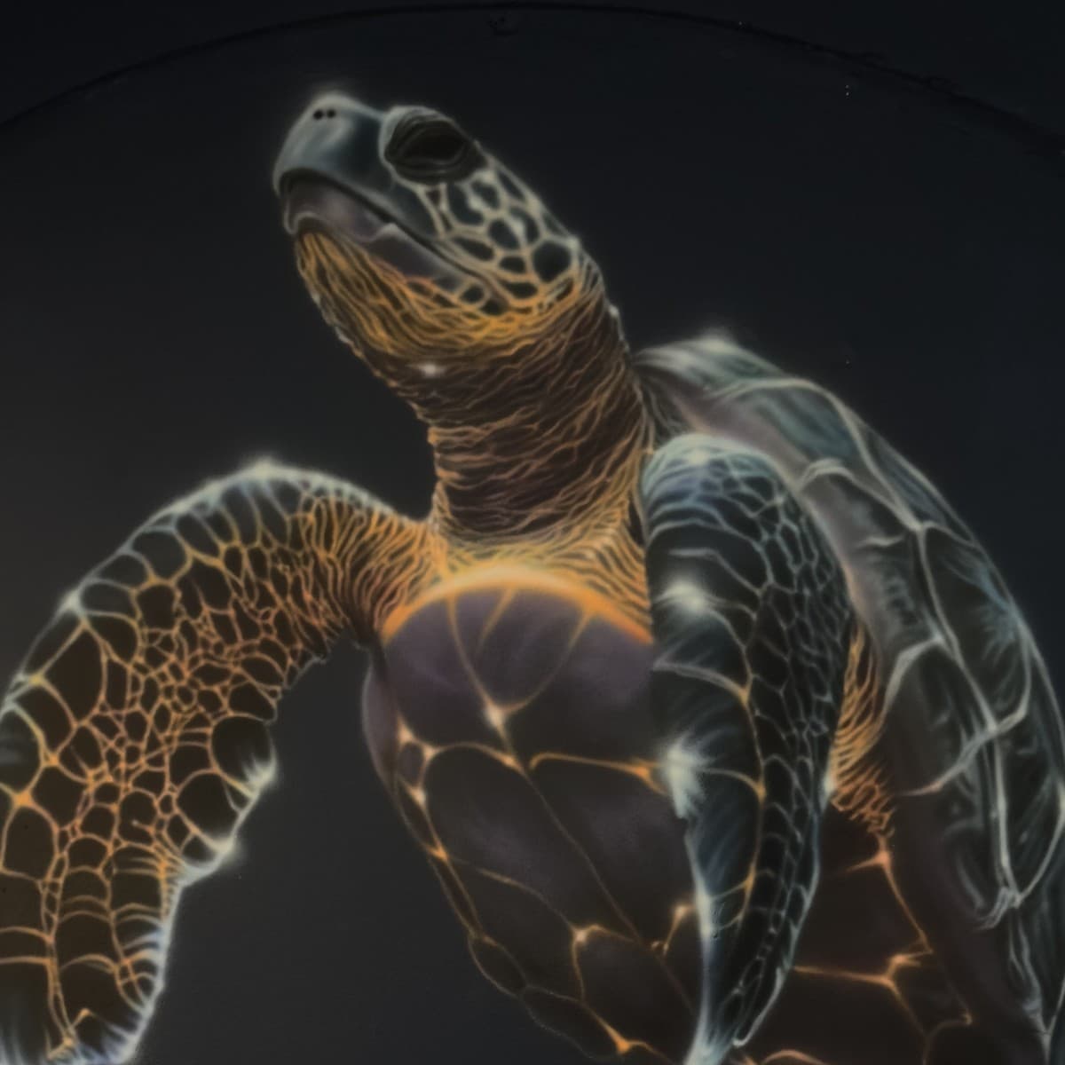 Realistic sea turtle mural in regular lighting