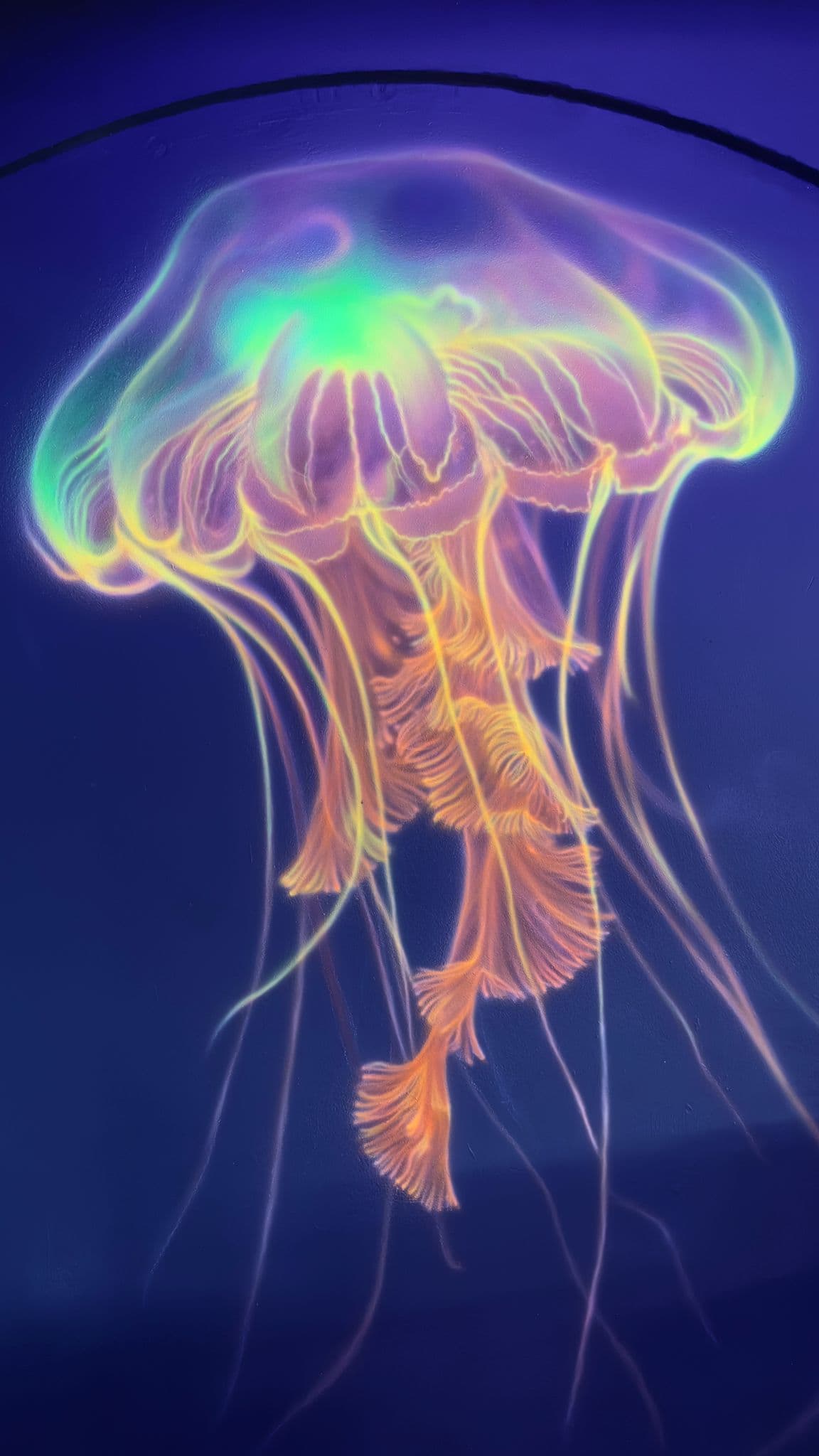 UV blacklight jellyfish mural