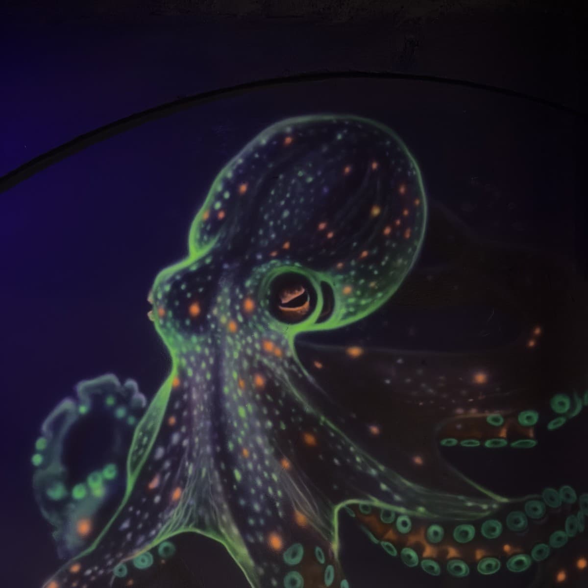 UV blacklight octopus mural